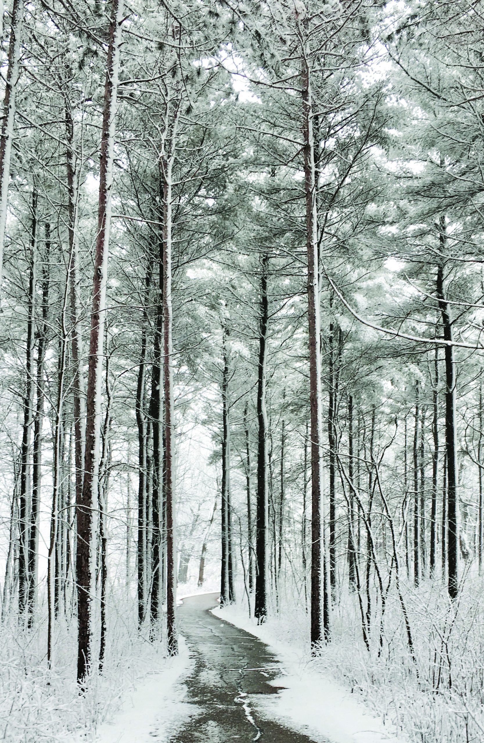 Waukesha County Custom Home Builders Ware Design Build